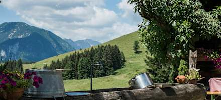 Blick von der Alm in die Umgebung des Nationalparks Kalkalpen