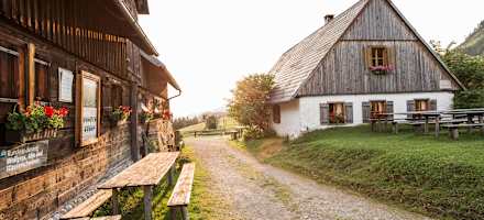 Die Alm mit Nebengebäude