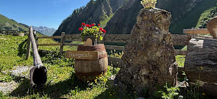 Mit viel Liebe zum Detail - auf der Baumgartalm in den Lechtaler Alpen