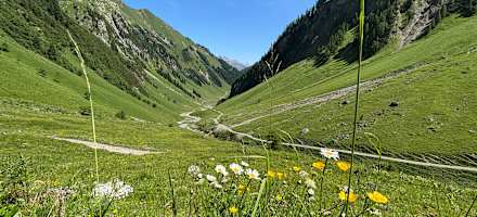 Am Weg zur Baumgartalm