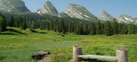 Berggasthaus Sellamatt