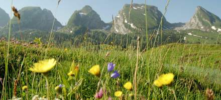 Berggasthaus Sellamatt