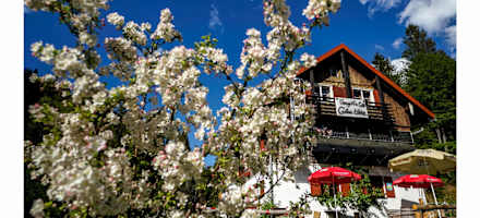 Bergwaldhaus Dreiangelhütte