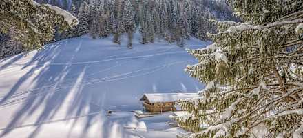 Auch im Winter ist die Bärenbadalm ein beliebtes Ausflugsziel.