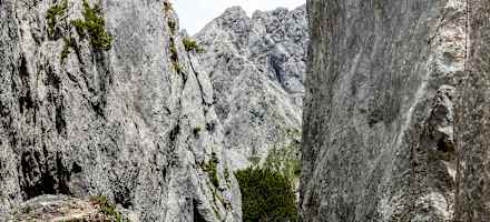 Einige alpine als auch Sportkletterrouten, sowie einen Klettergarten findet man unweit der Hofpürgl-Hütte.