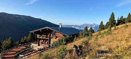 Boscheben im weichen Herbstlicht mit Hund Merle
