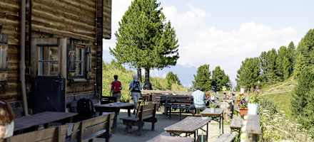 Boscheben zwischen Zirben