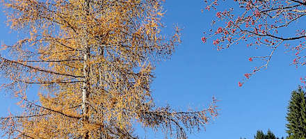 Herbst auf der Braunauer Hütte