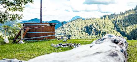 Der Blick von der Bründlingalm
