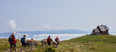 Eselwanderung zur Wolfsberger Hütte