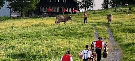 Die Hütte ist auch für Familien leicht zu erreichen.