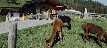 Hinterschießlingalm