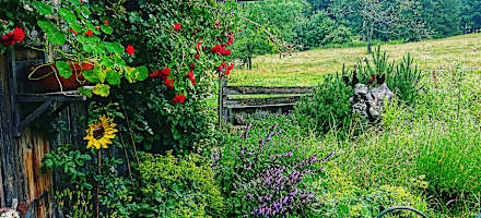 Doagl Alm am Samerberg