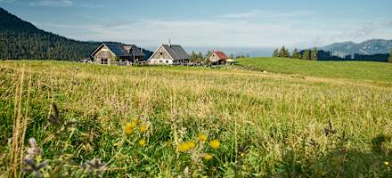 Die Ebenforstalm mit Rundblick auf und in den Oberösterreichischen Voralpen