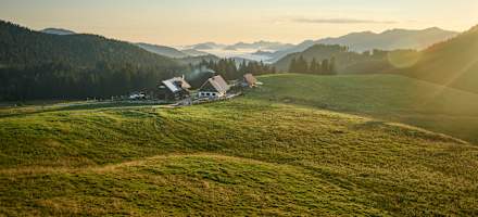 Über dem Nebelmeer liegt die Ebenforstalm