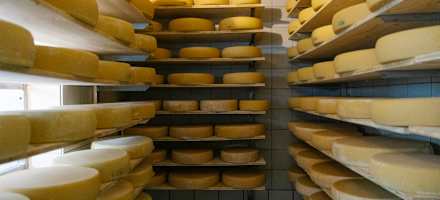 Im Almwirtshaus ist auch die "Alte Käserei" untergebracht.