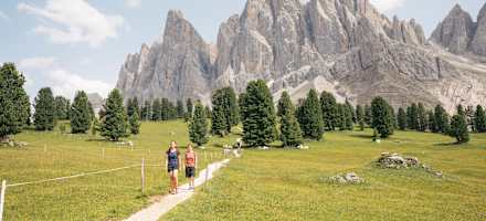 Am Weg zur Gschnagenhardt Alm, im Hintergrund die Geislserspitzen