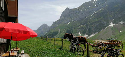 Mit dem Mountainbike auf die Chammhaldenhütte