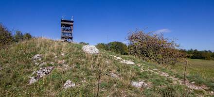 Felstrockenrasen Oberleis