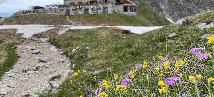 Die Fiderepasshütte steht in den Allgaeuer Alpen.