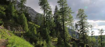 Zustieg zur Fluhseehütte