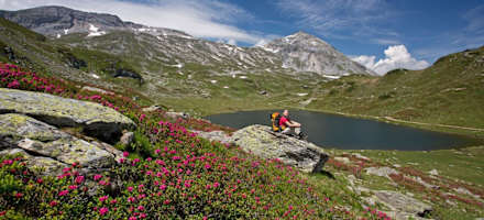 Giglachseehütte - Blick zurück auf den Giglachsee