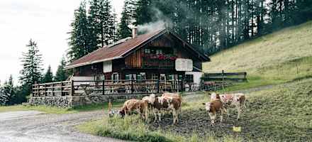 Gemütlich auch bei Regenwetter – die Gindelalm