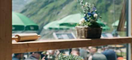 Wildragout mit Knödel am Glocknerhaus