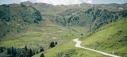 Die Grünalm im Zillertal.