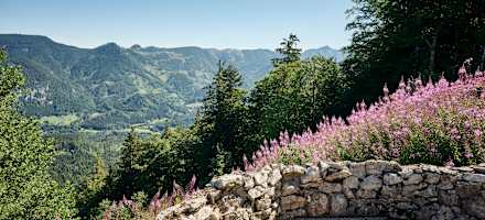 Die Aussicht vom Hochberghaus ins Salzkammergut
