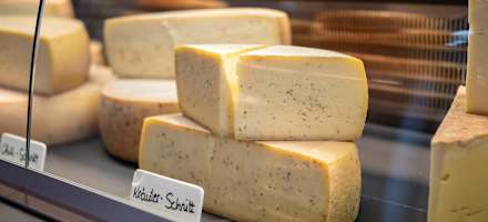 Käsespezialitäten auf der Holzalm