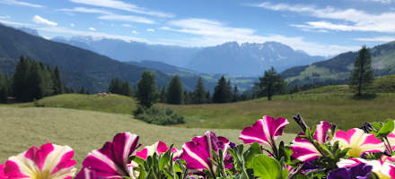 Bergalm-Neureithütte