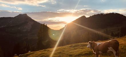 Bergalm-Neureithütte