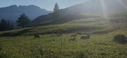 Bergalm-Neureithütte