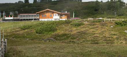 Die Latschenalm im Sommer