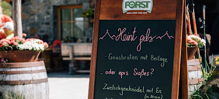 Auf der Lazinser Alm