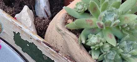 Viel Liebe zum Detail auf der Lippenbauernhütte