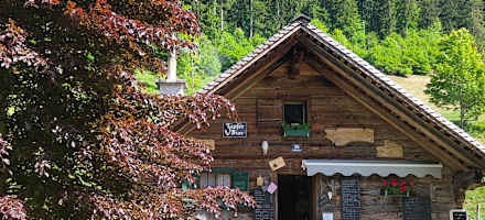 Die Lippenbauernhütte auf der Rettenbachalm oberhalb von Bad Ischl