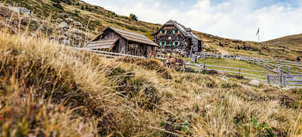 Die Millstätter Hütte mit tierischer Begleitung