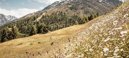 Aussicht von Maria's Alm