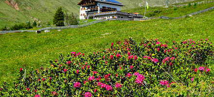 Die Meraner Hütte oberhalb von Meran