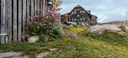 Die Millstätter Hütte