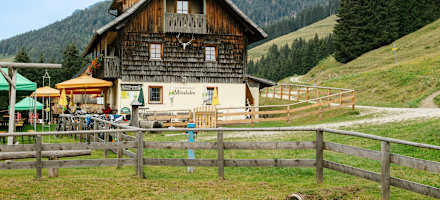 Die Hütte liegt eingebettet auf einem Sattel, umringt von sanften Almflächen und Wäldern.