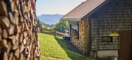 Die Mollnerhütte auf 1.005m Höhe