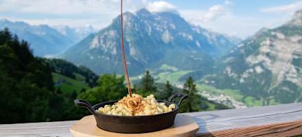 Berggasthaus Fronalp