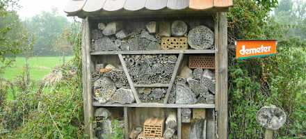 Insektenhotel