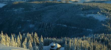 Naturfreundehaus Feldberg