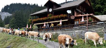 Naturfreundehaus Gorneren