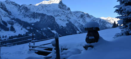 Um das winterliche Haus