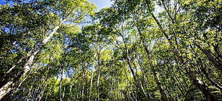 Naturfreundehaus Capanna Genzianella